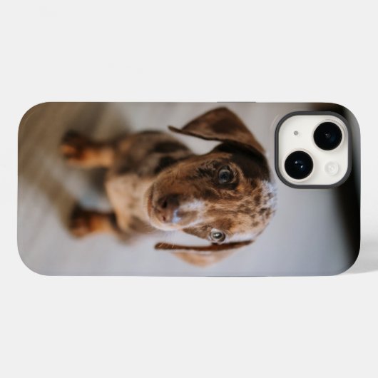 Kutest Baby Animals | Bruin Dachshund Puppy Case-Mate iPhone Case (Achterkant (horizontaal))