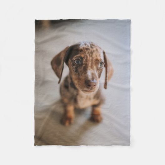 Kutest Baby Animals | Bruin Dachshund Puppy Fleece Deken (Voorkant)