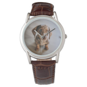 Kutest Baby Animals   Bruin Dachshund Puppy Horloge