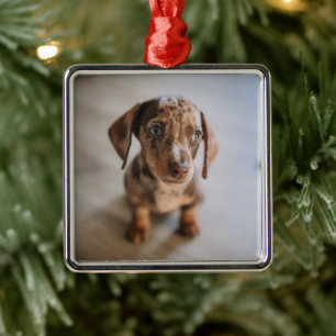 Kutest Baby Animals Bruin Dachshund Puppy Metalen Ornament
