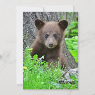 Kutest Baby Animals   Bruine Beer Cub Bedankkaart