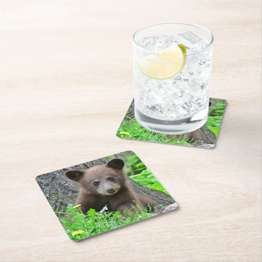 Kutest Baby Animals | Bruine Beer Cub Vierkante Kartonnen Onderzetter (Insitu)