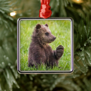 Kutest Baby Animals Bruine Beer Cub Wave Metalen Ornament