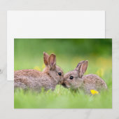 Kutest Baby Animals | Bunny Kiss Bedankkaart (Voorkant / Achterkant)