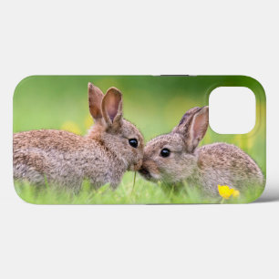 Kutest Baby Animals Bunny Kiss iPhone 13 Hoesje