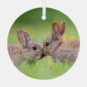 Kutest Baby Animals | Bunny Kiss Glas Ornament (Achterkant)