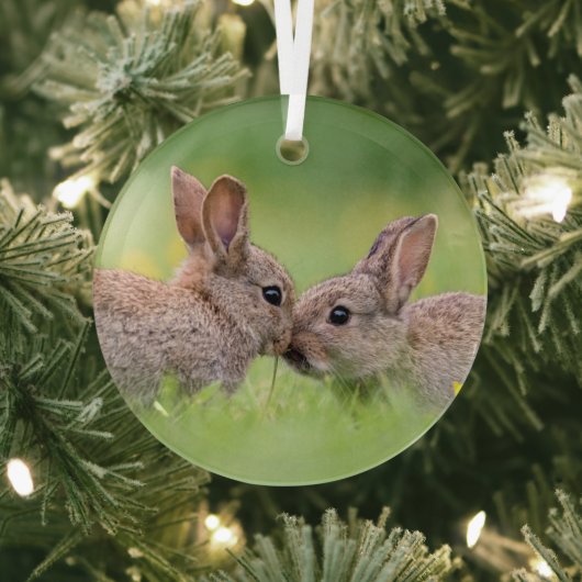 Kutest Baby Animals | Bunny Kiss Glas Ornament (Insitu)