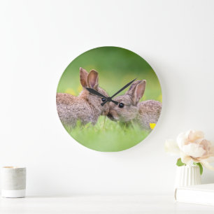 Kutest Baby Animals   Bunny Kiss Grote Klok