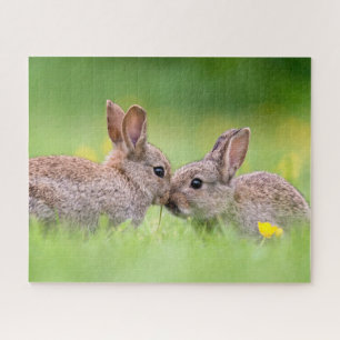 Kutest Baby Animals Bunny Kiss Legpuzzel
