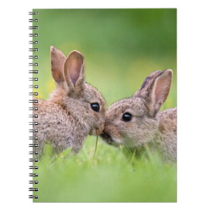 Kutest Baby Animals Bunny Kiss Notitieboek