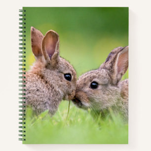 Kutest Baby Animals Bunny Kiss Notitieboek