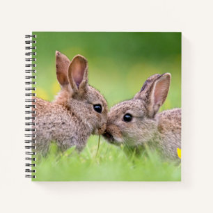 Kutest Baby Animals Bunny Kiss Notitieboek