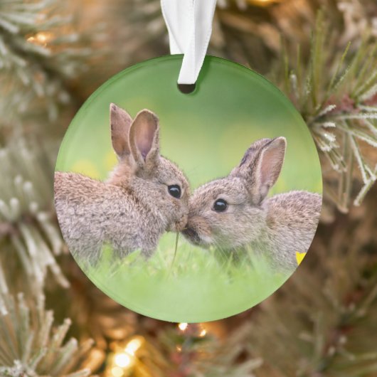 Kutest Baby Animals | Bunny Kiss Ornament (Boom)