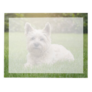 Kutest Baby Animals   Cairn Terrier Dog Notitieblok