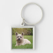 Kutest Baby Animals | Cairn Terrier Dog Sleutelhanger (Voorkant)