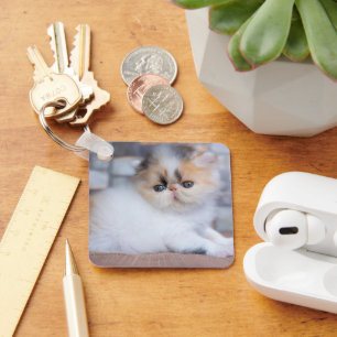 Kutest Baby Animals Calico Persian Kitten Sleutelhanger