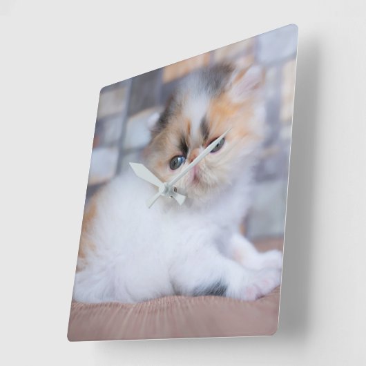 Kutest Baby Animals | Calico Persian Kitten Vierkante Klok (Hoek)