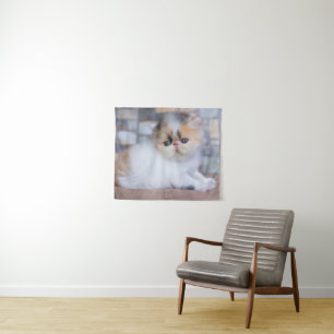 Kutest Baby Animals Calico Persian Kitten Wandkleed