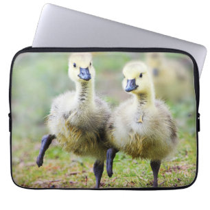 Kutest Baby Animals   Canadese Goose Goslings Laptop Sleeve