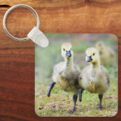 Kutest Baby Animals | Canadese Goose Goslings Sleutelhanger (Voorkant)