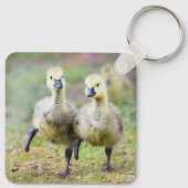 Kutest Baby Animals | Canadese Goose Goslings Sleutelhanger (Achterkant)