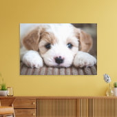 Kutest Baby Animals | Cavashon Puppy Canvas Afdruk (Insitu (Woonkamer))