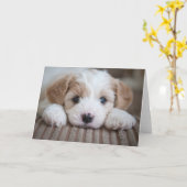 Kutest Baby Animals | Cavashon Puppy Kaart (Gele Bloem)