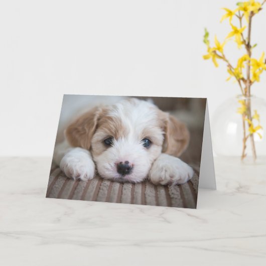 Kutest Baby Animals | Cavashon Puppy Kaart (Gele Bloem)