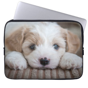 Kutest Baby Animals   Cavashon Puppy Laptop Sleeve