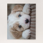 Kutest Baby Animals | Cavashon Puppy Legpuzzel (Verticaal)