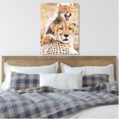 Kutest Baby Animals | Cheetah Cat & Cub Canvas Afdruk (Insitu (Slaapkamer))