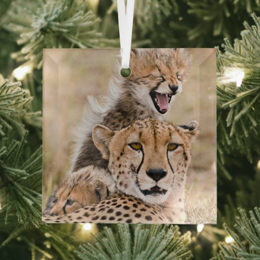 Kutest Baby Animals | Cheetah Cat & Cub Glas Ornament (Insitu)
