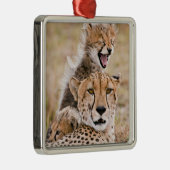 Kutest Baby Animals | Cheetah Cat & Cub Metalen Ornament (Rechts)