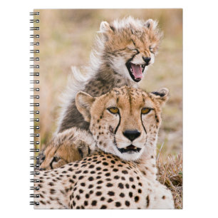 Kutest Baby Animals Cheetah Cat & Cub Notitieboek