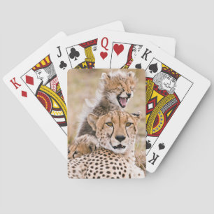 Kutest Baby Animals   Cheetah Cat & Cub Pokerkaarten