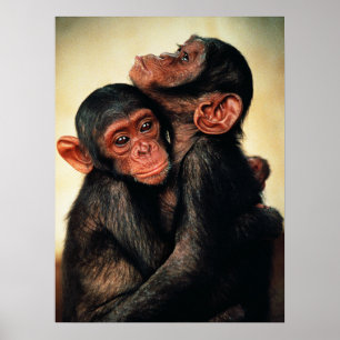 Kutest Baby Animals   Chimpansee Hug Poster
