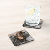 Kutest Baby Animals | Chocolade Dapple Dachshund Bier Onderzetter (Rechterzijde)