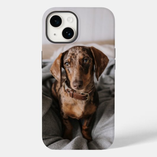 Kutest Baby Animals | Chocolade Dapple Dachshund Case-Mate iPhone Case (Achterkant)