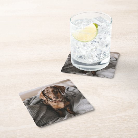 Kutest Baby Animals | Chocolade Dapple Dachshund Vierkante Kartonnen Onderzetter (Insitu)