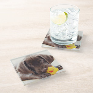 Kutest Baby Animals Chocolade Labrador Puppy Glazen Onderzetter