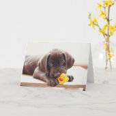 Kutest Baby Animals | Chocolade Labrador Puppy Kaart (Gele Bloem)