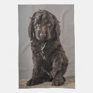 Kutest Baby Animals Cockapoo Puppy Theedoek