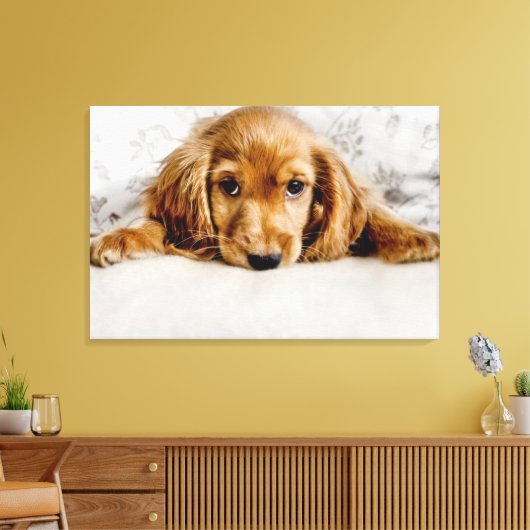 Kutest Baby Animals | Cocker Spaniel Puppy Canvas Afdruk (Insitu (Woonkamer))