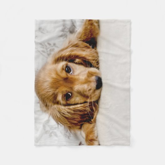 Kutest Baby Animals | Cocker Spaniel Puppy Fleece Deken (Voorkant)