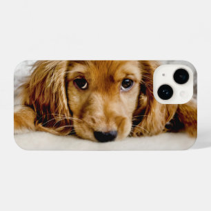 Kutest Baby Animals   Cocker Spaniel Puppy iPhone 14 Hoesje