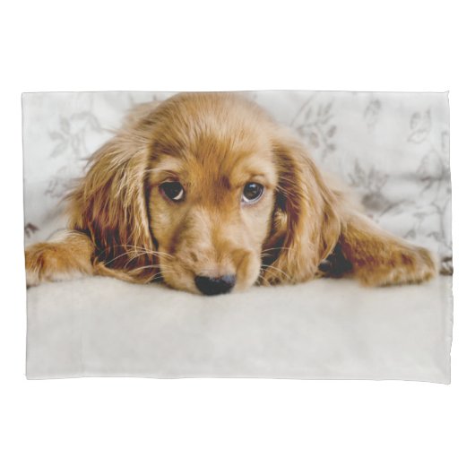 Kutest Baby Animals | Cocker Spaniel Puppy Kussensloop (Voorkant)