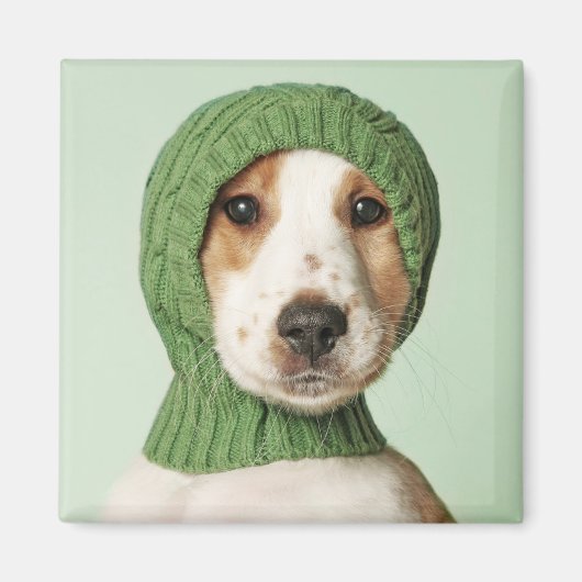 Kutest Baby Animals | Cocker Spaniel Puppy Magneet (Voorkant)