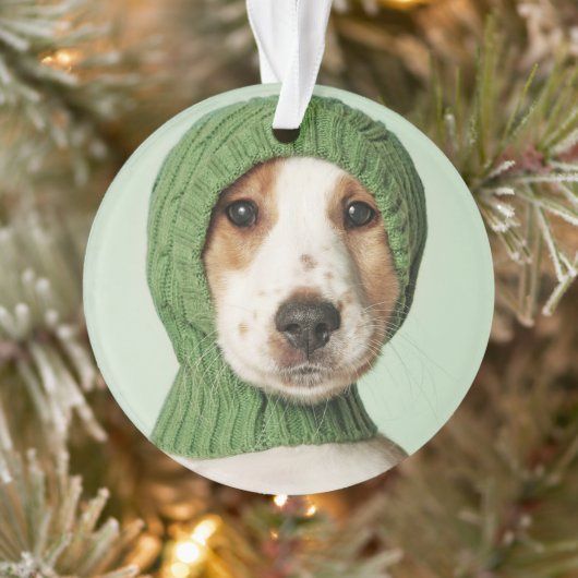 Kutest Baby Animals | Cocker Spaniel Puppy Ornament (Boom)