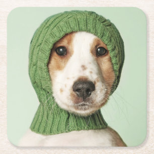 Kutest Baby Animals   Cocker Spaniel Puppy Vierkante Kartonnen Onderzetter