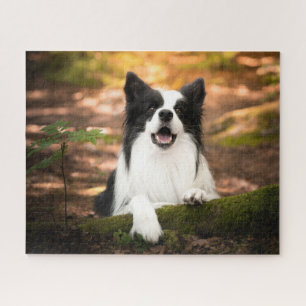 Kutest Baby Animals Collie aan de Zwarte en Witt Legpuzzel